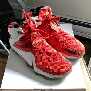 Lebron 12 heart of a lion